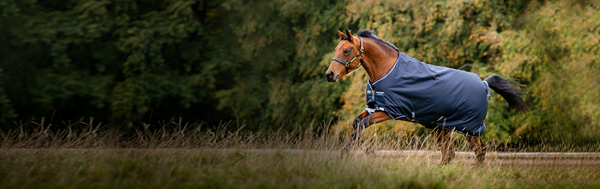 Turnout Rugs