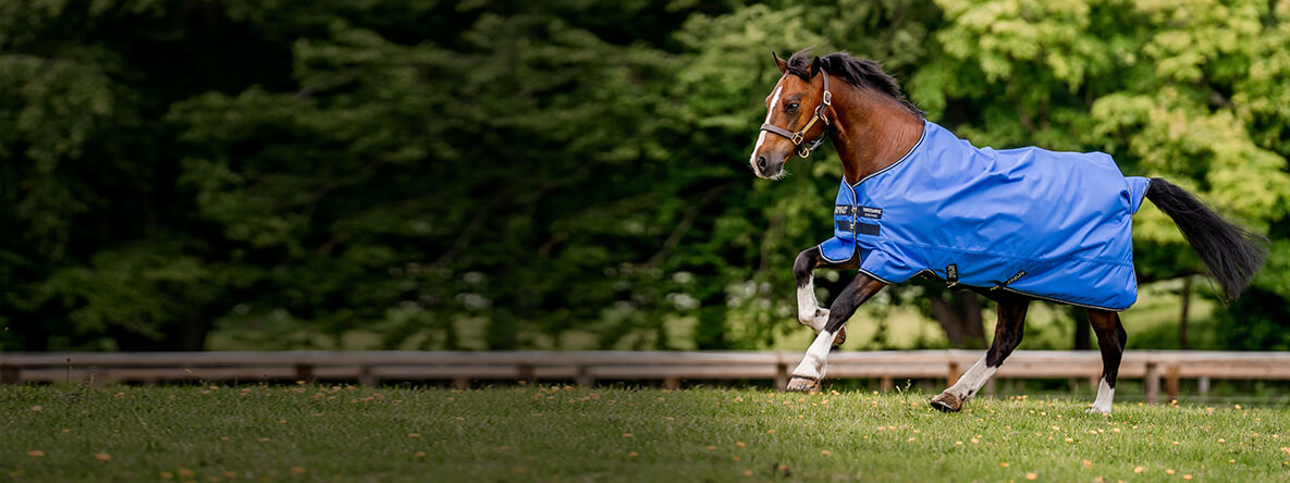 Pony Pony