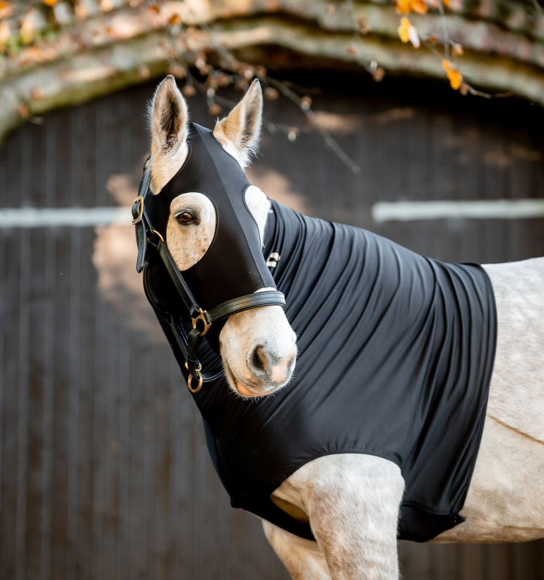 Stable Rugs & Sheets Horseware Ireland ® Official site