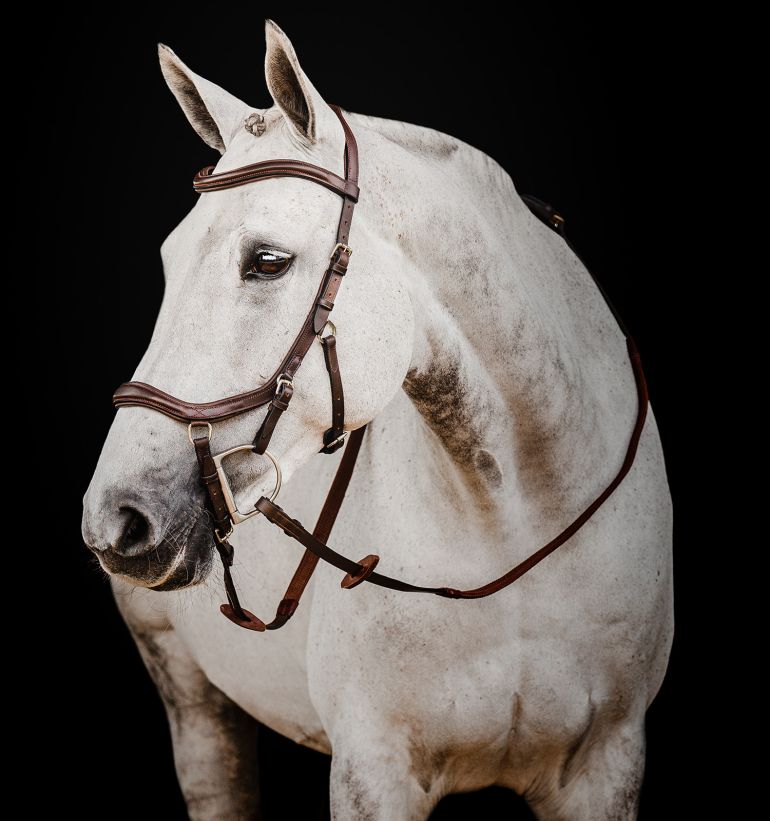 Leder / Horseware Ireland ® Offizielle site