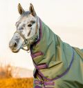 Feuille D'aiguillage Poney Amigo Hero - Taille 45" - Couleur Raisin/Framboise - Imperméable