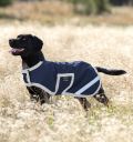 Amigo dog blanket sales
