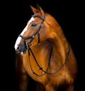 Purchase Horseware Micklem® Deluxe Competition Bridle with Reins Onlin