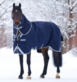 Acheter Couverture d'Écurie Rambo® Cosy (Légère 100g) en ligne - Horse