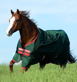 Purchase Rambo® Original Turnout (0g Light) Online - Horseware Ireland