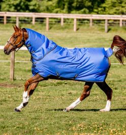 Horseware Amigo Bravo 12 Wug Horseware Amigo Hero 600d Plus Ripstop Turnout Lite 0g | Fig/Navy HW Druck | 5'6-7'0 Amigo Horseware