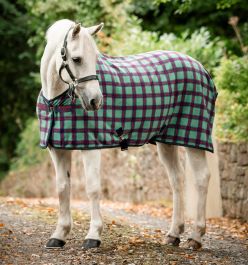 Chemise Equithème coton - chemises chevaux