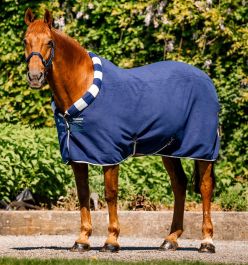 Tapis De Voyage Cheval Majestic Ally – Cool Bleu Marine, 6'6''