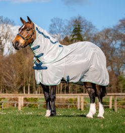 afrbg9-ibc0-amigo-xl-bug-rug-