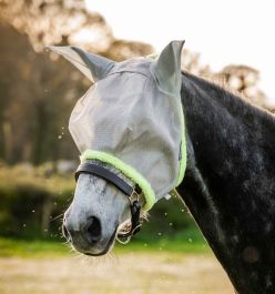 Masque Mouche Amigo Pour Cheval - Avoine/marine - Taille COB XS - NEUF