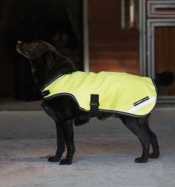 Rambo waterproof dog store coat
