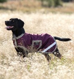 Rambo dog store jacket