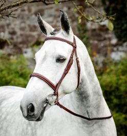 sbhcf0-n000-horseware-hunter-