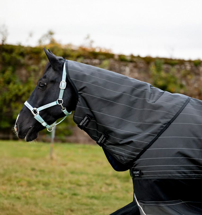 Q19 22H10-22 pouces-Extension Queue De Cheval Synthétique Bouclée Pour Femme, Postiche Noire À