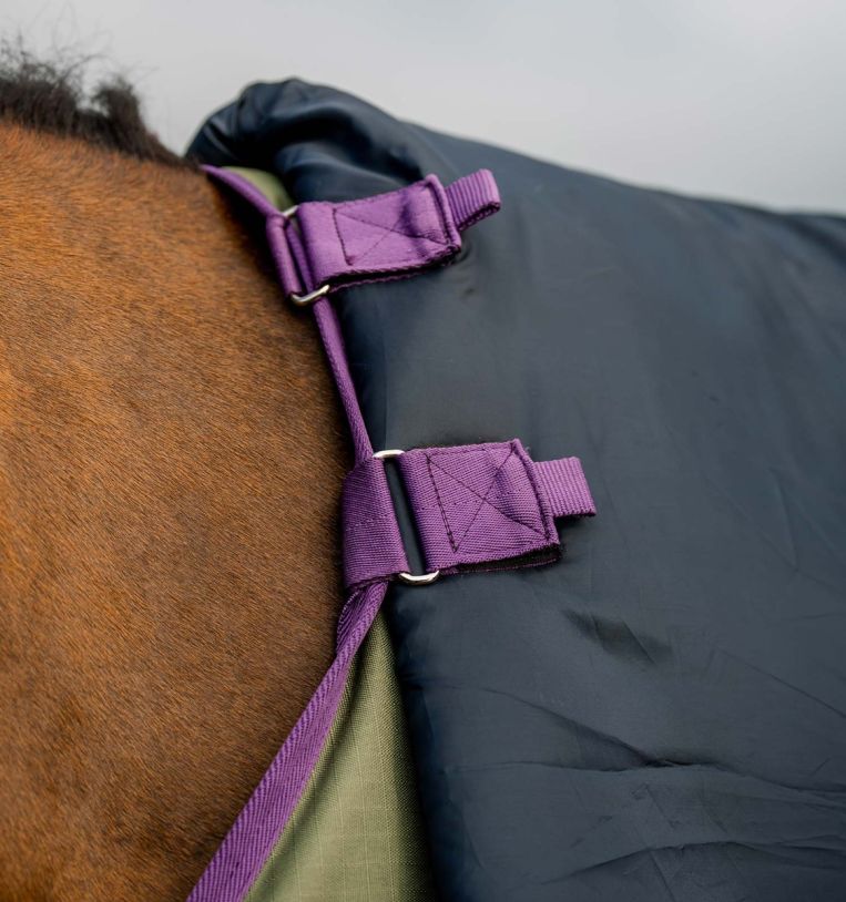 Buy Amigo® Hero Ripstop Plus Turnout (200g Medium) Online - Horseware