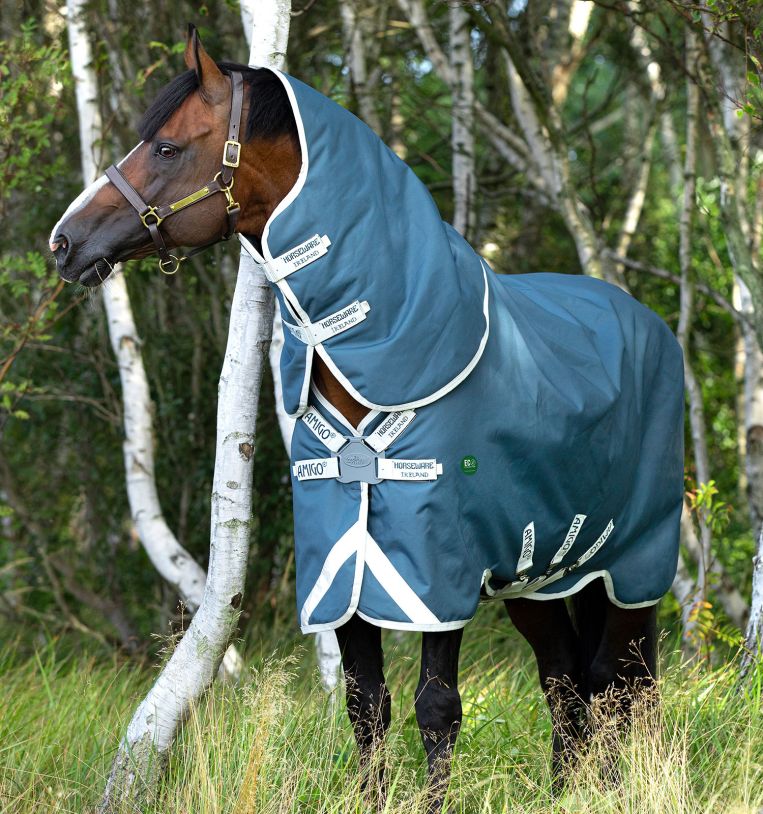 Buy Amigo® AmECO 12 Plus Turnout (0g Light) Online - Horseware Ireland