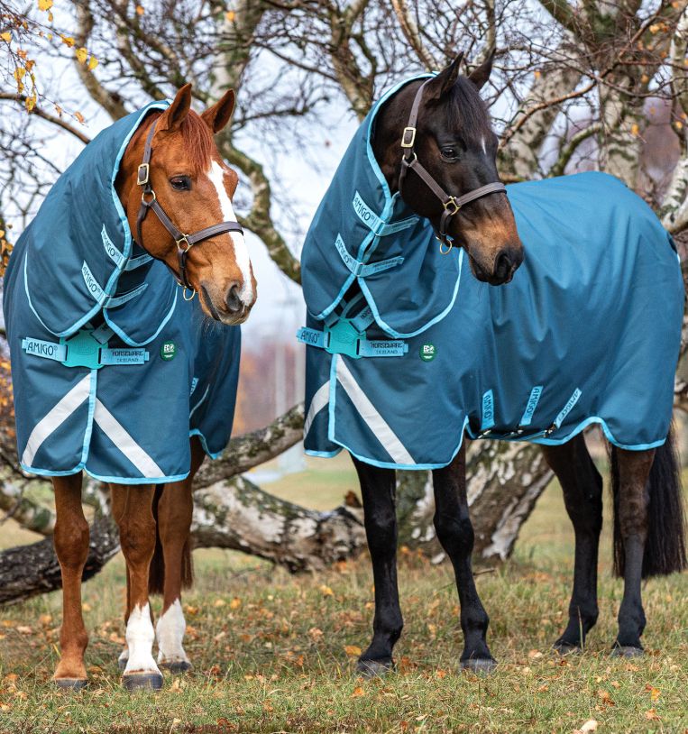 Order Amigo® AmECO 12 Plus Turnout (250g Medium) Online - Horseware Ir