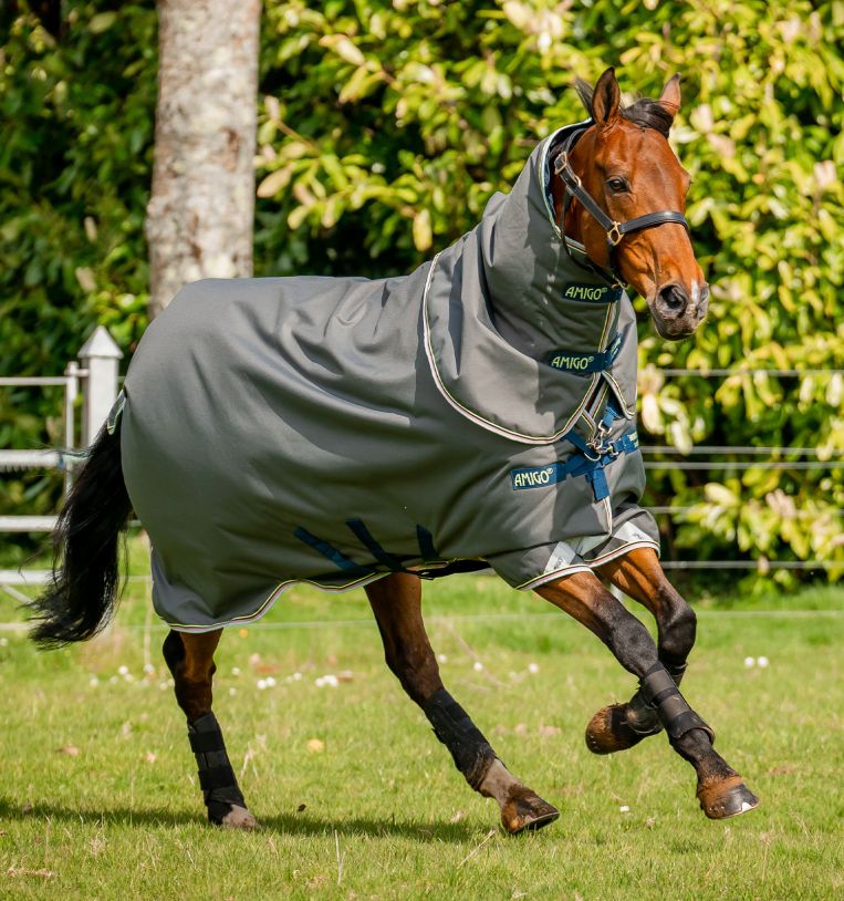Amigo AmEco 12 Plus 250g Turnout - Racetrack Veterinary Services