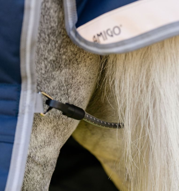 Amigo® 1200D Plus Pony Turnout 250g – Horseware Ireland