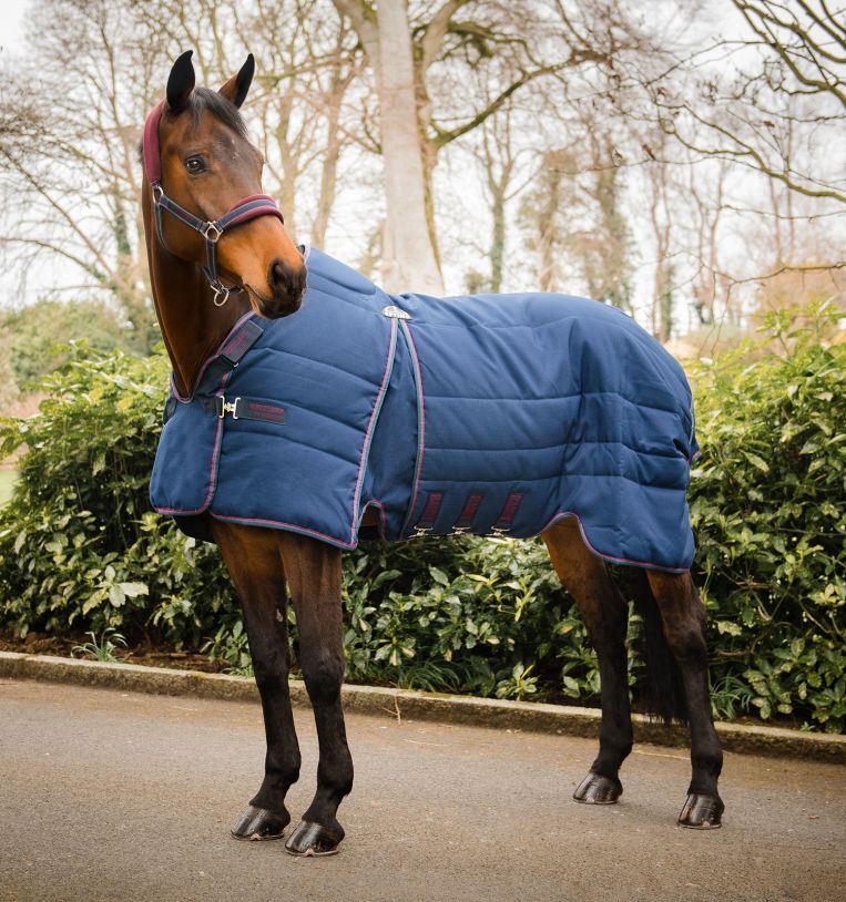  Premium Horse Blanket Sheet Leg Straps, Replacement