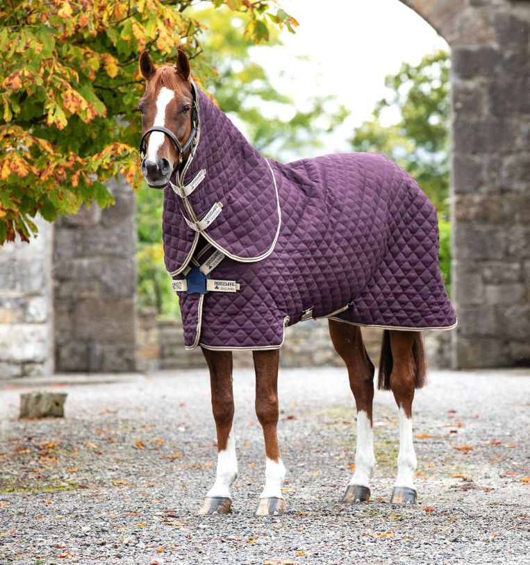 Horseware Amigo Stable Plus 200g Medium Stable Blanket - Disc Front Closure  - Bahr Saddlery