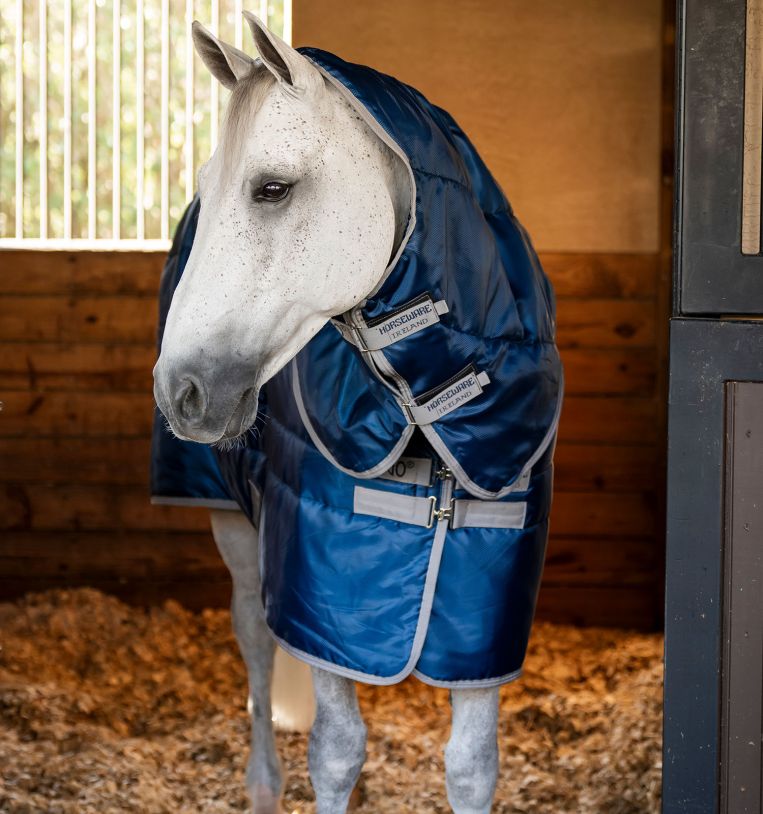 Couverture D'écurie Equiline 400g Pour Cheval – Taille 78, Bleue, Neuve