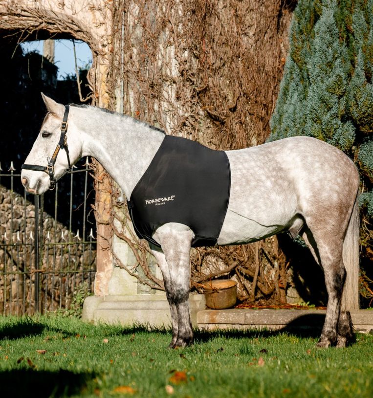 Buy Rambo Slinky Shoulder Online Horseware Ireland US