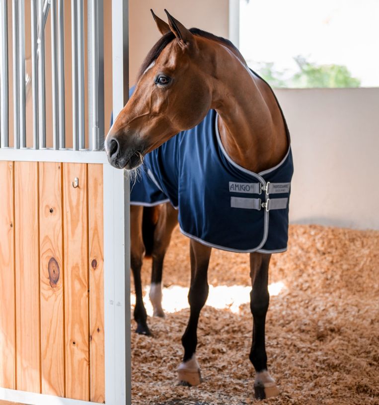 Chemises d'équitation séchantes