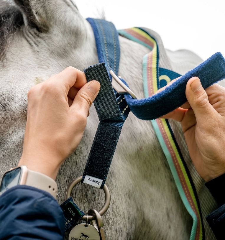 HY Fieldsave Cavezza Per Cavallo In Nylon – Nero, Taglia Unica, Con Clip Sicurezza E Naso Imbottito