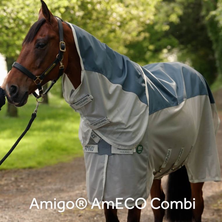Buy Amigo® AmECO Combi Online - Horseware Ireland ® - US