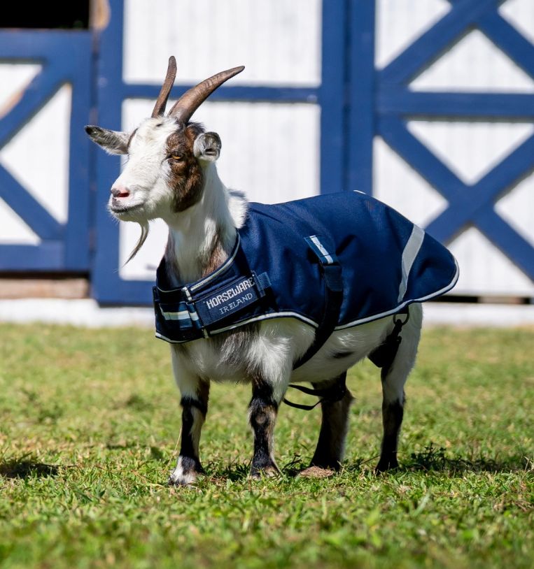 Horseware® Goat Coat 200g – Horseware Ireland