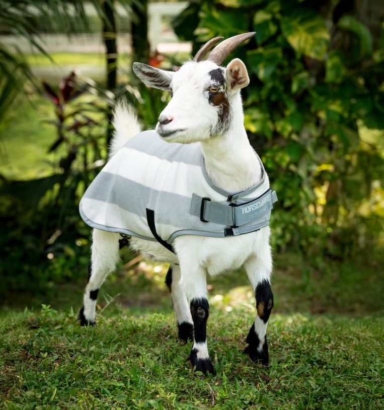Polaire Pour Poney Horseware Newmarket – Neuf, Taille Unique
