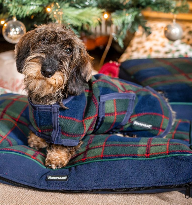Horseware ireland dog coats outlet