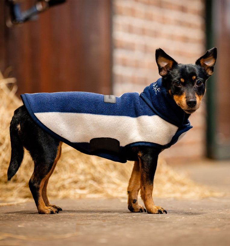 Horseware ireland dog coats online