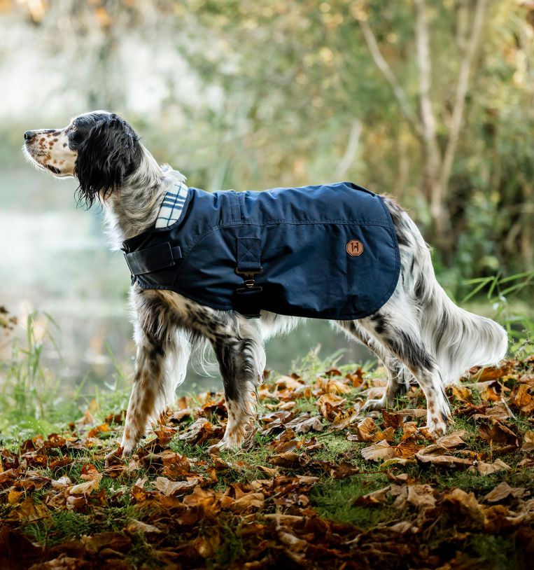 Horseware Newmarket Heritage Hundemantel  Horseware Ireland