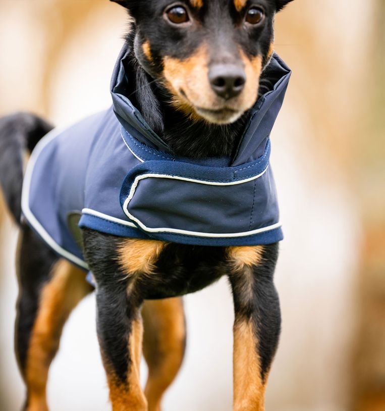 Horseware Signature Dog Rain Coat No Fill
