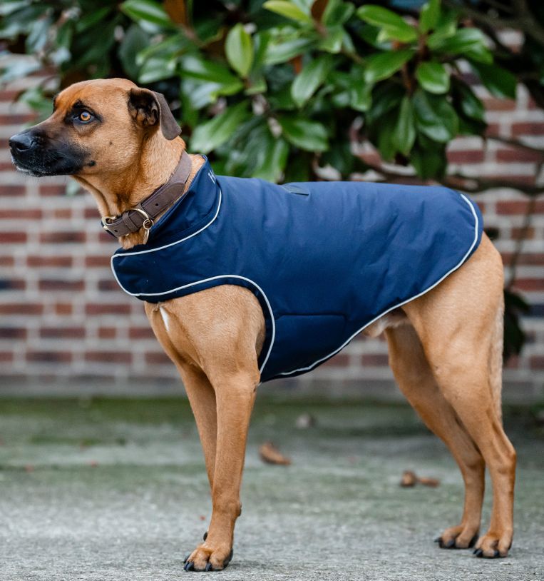 Obtenir Imperméable pour Chien ® Signature (Sans Rembourrage