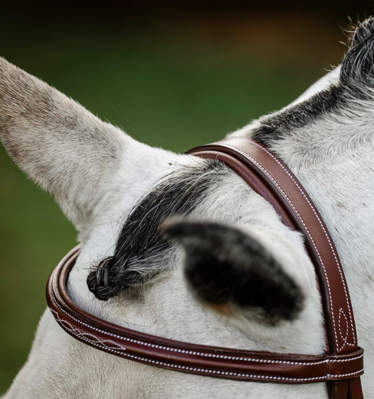 Horseware® Hunter Cavesson Bridle with Reins – Horseware Ireland