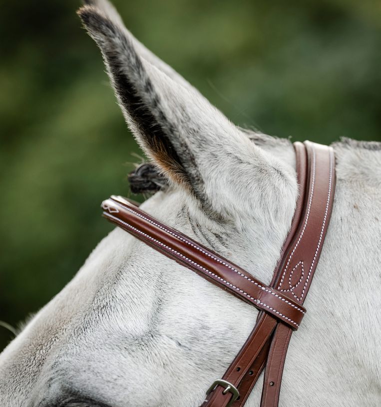 Horseware® Hunter Cavesson Bridle with Reins – Horseware Ireland