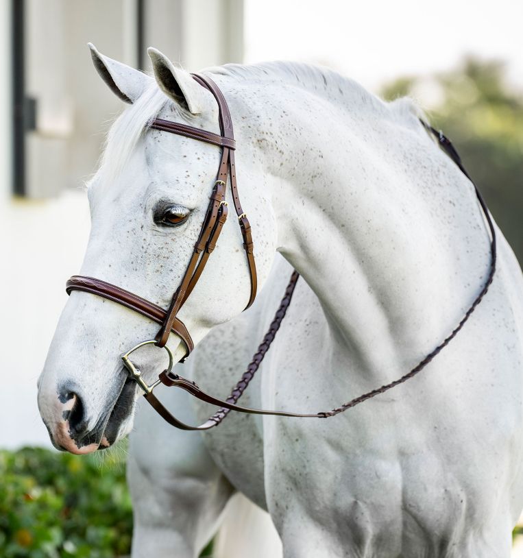 Horseware® Pony Hunter Cavesson Bridle with Reins – Horseware Ireland