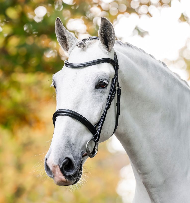 Horseware® Cavesson Bridle – Horseware Ireland
