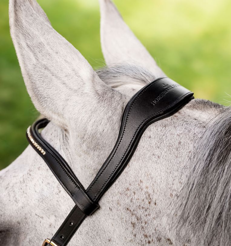 Bride de compétition Micklem2 – Svensk Ridsport