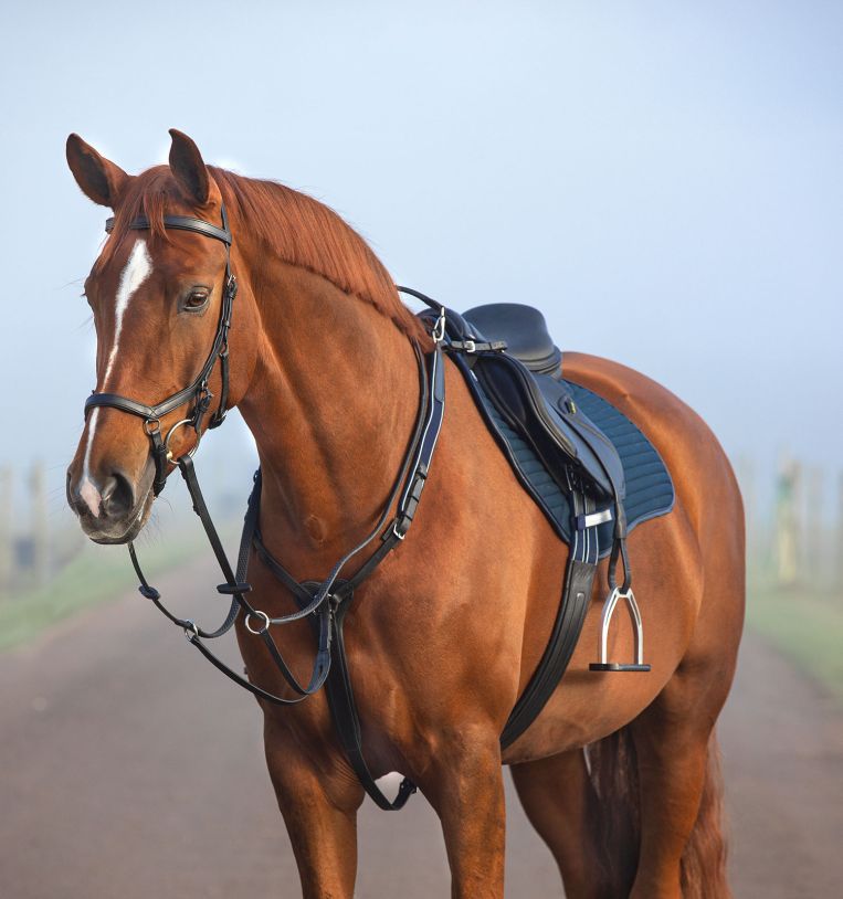 Australian Outrider Breastplate Martingale - Leather Horse Riding Equipment