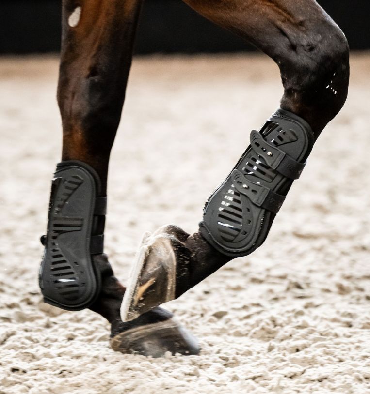 Guêtres Tendon Antérieures Horseware Amigo – Protège-jambes Cheval