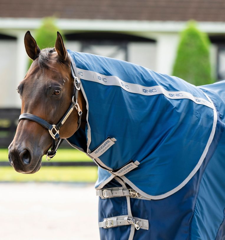 Horseware Ionic® Therapy Quarter Horse Mesh Cooler Hood
