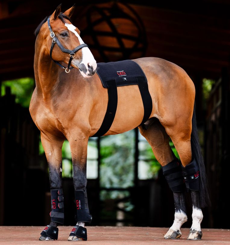 LED Red Light Therapy Device for Horses, Infrared 850nm and