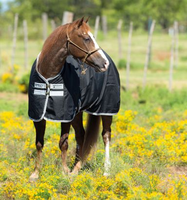 Amigo® Stock Horse Turnout (0g Light)