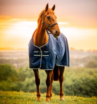 Amigo® Ripstop 900D Pony Turnout 0g