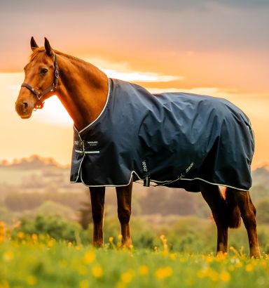 Amigo® Ripstop 900D Pony Turnout 100g