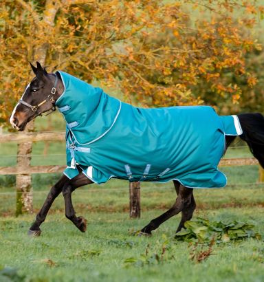 Amigo® Bravo 12 Plus Turnout (400g Heavy)